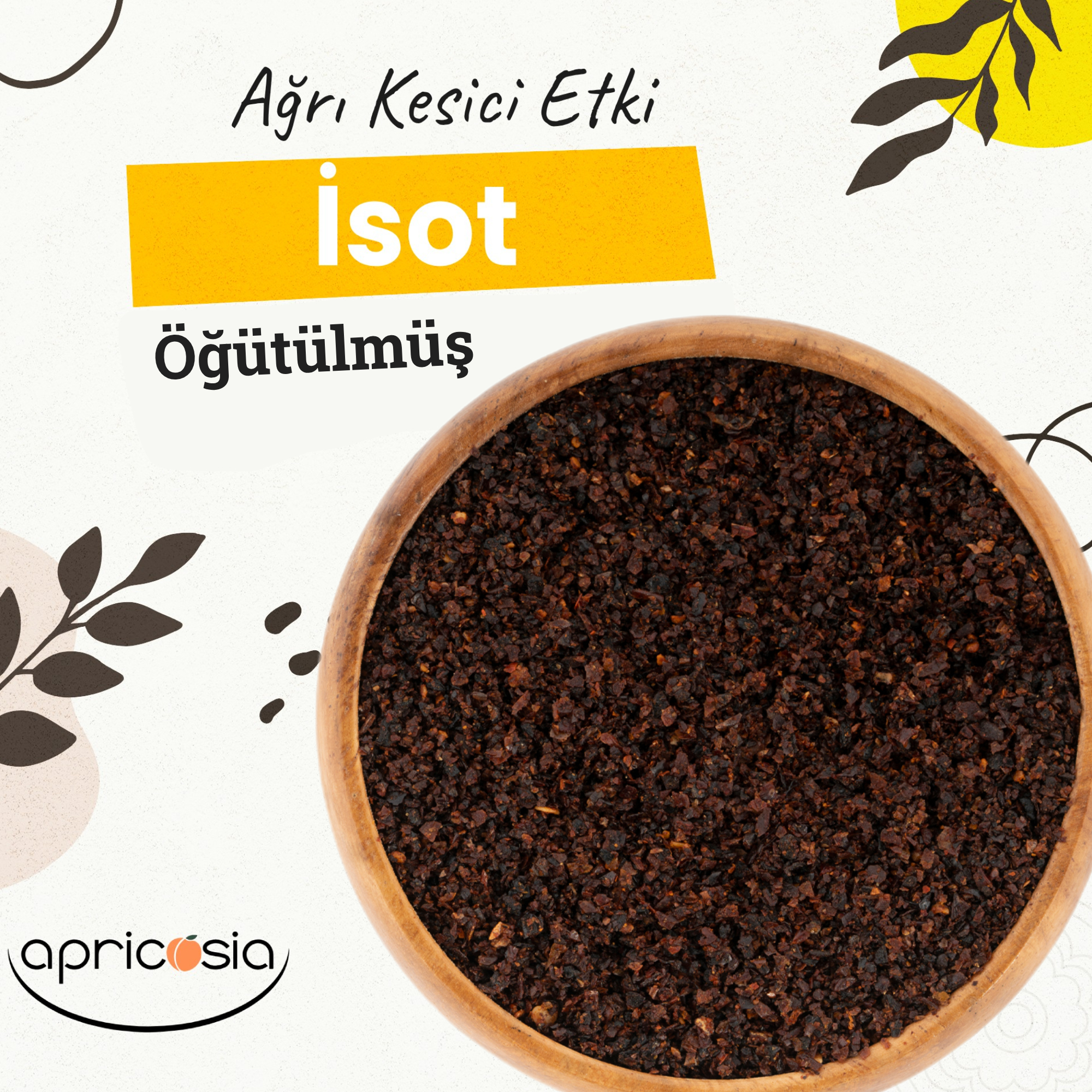 Meyve Kurusu & Kuru Meyve Çeşitleri ve Fiyatları - Apricosia