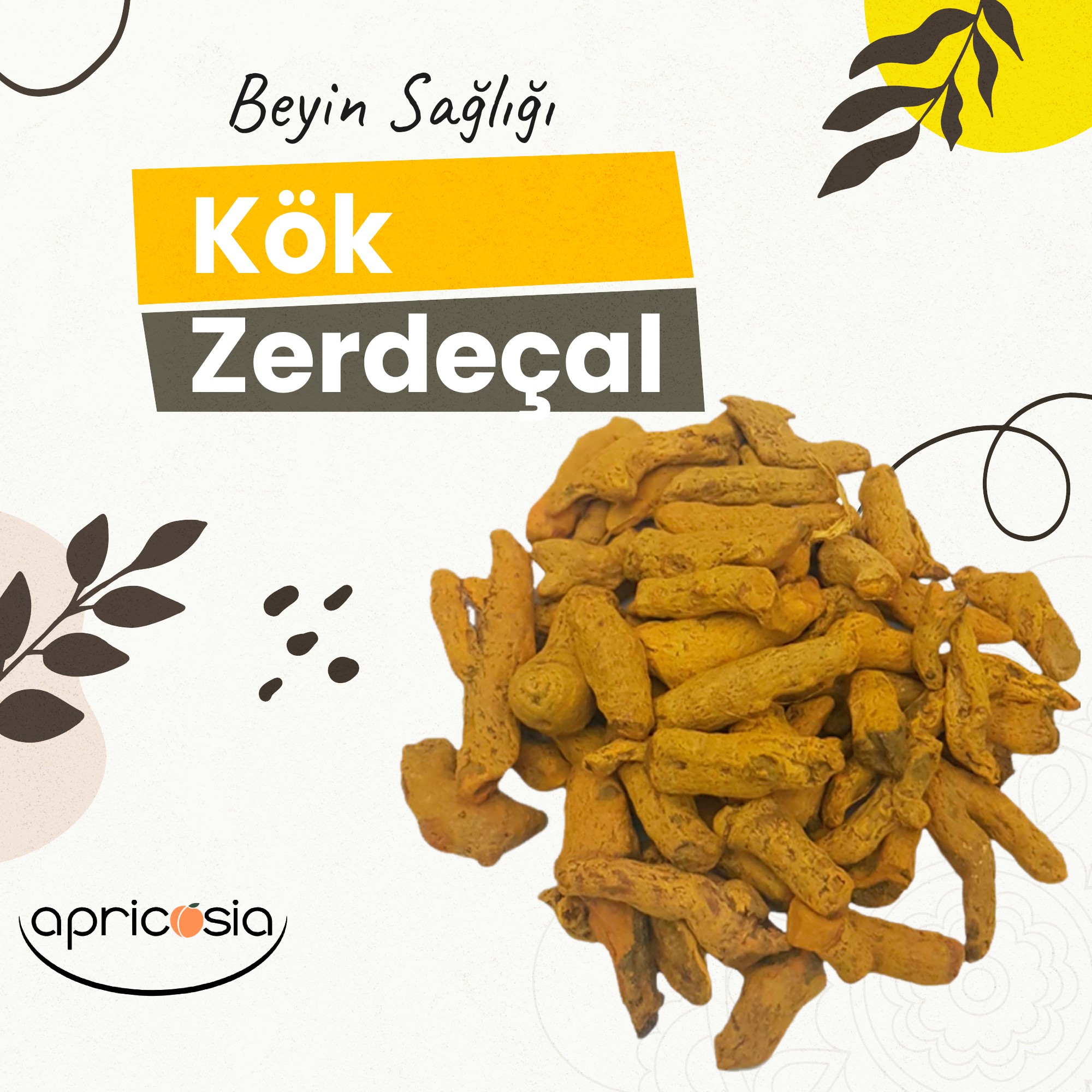 Kök Zerdeçal / 1KG